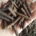 荜茇，进口大、中、小荜茇，海南小荜茇，货好干度好颜色漂亮