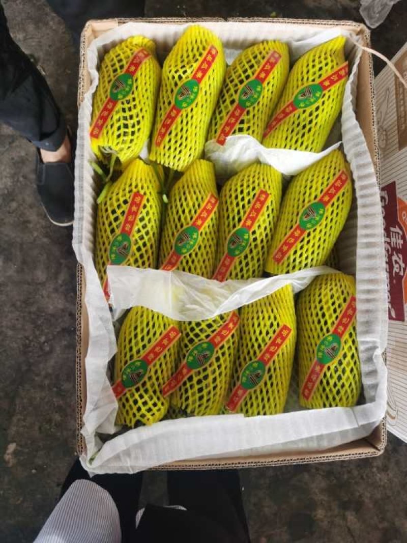 羊角蜜甜瓜，口感清脆香甜可口，对接电商平台，支持一件代发