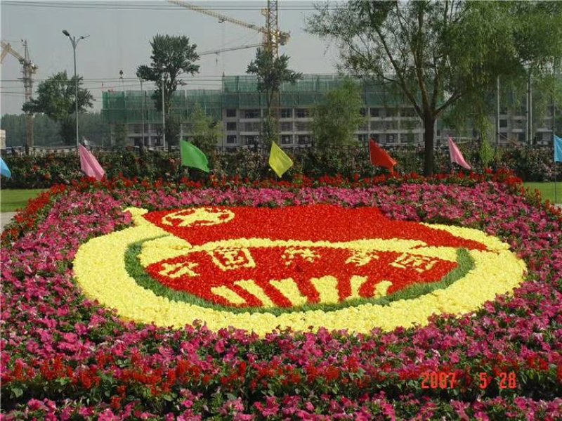 时令草花组摆华艺造型设计施工市政景观绿化