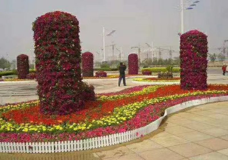 时令草花组摆华艺造型设计施工市政景观绿化