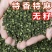 鲜花椒，干花椒，优质青花椒四川