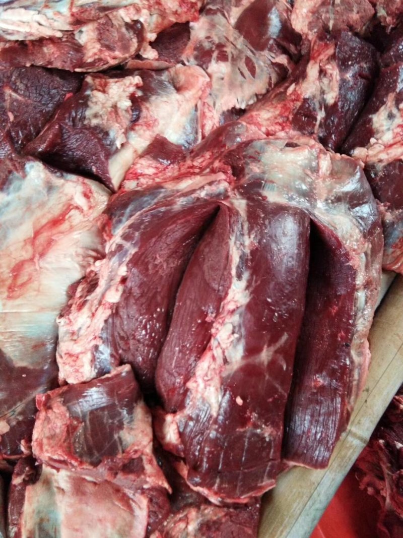 江苏兴化原生态水牛，水牛肉
