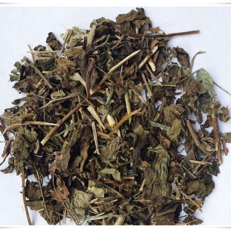 冬凌草冰凌草冬菱草各种中草药
