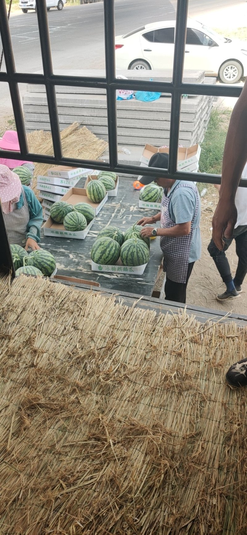 大棚美都西瓜不熟包退货源充足产地直发一手货源