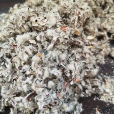 新疆棉壳新货棉壳棉饼牧场毛棉籽棉渣玉米芯颗粒