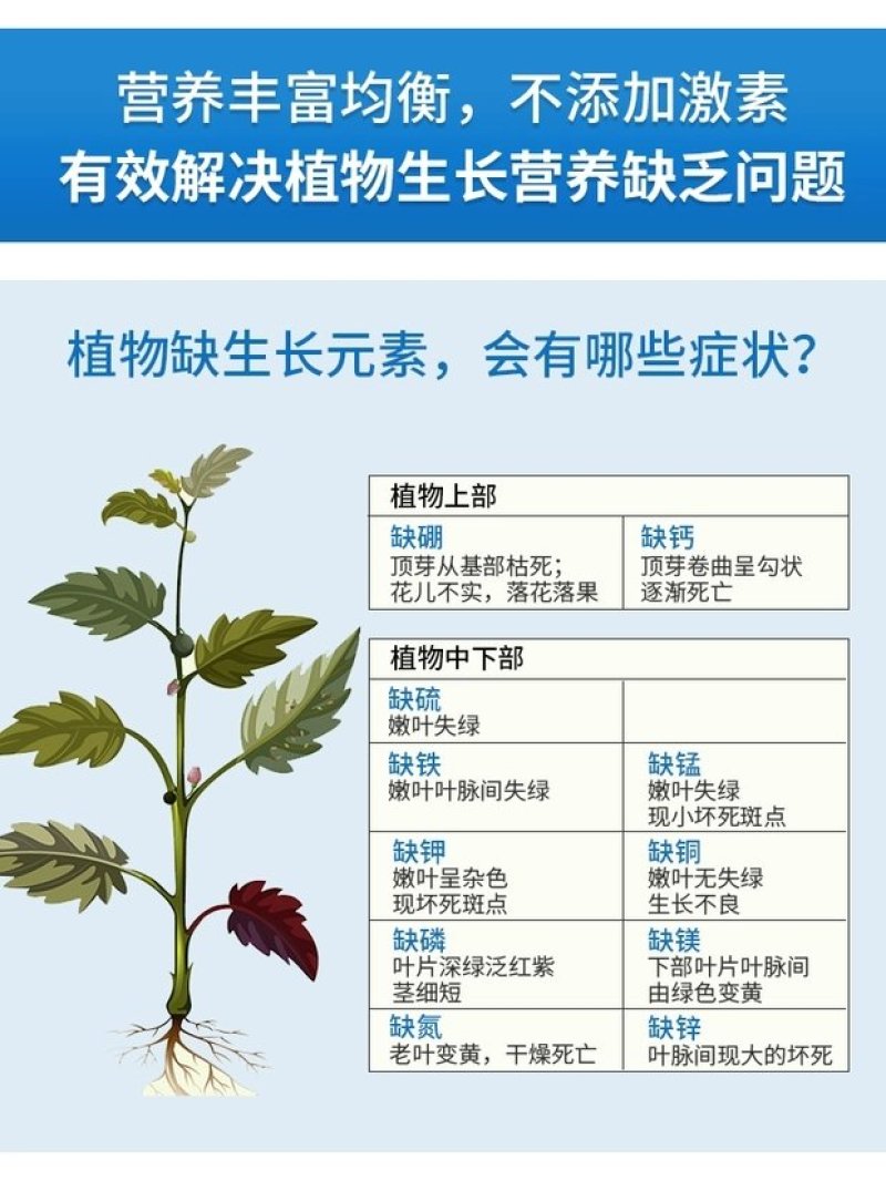 硼锌钾钙镁营养全面促花增果膨果靓果提高品质