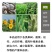 硼锌钾钙镁营养全面促花增果膨果靓果提高品质