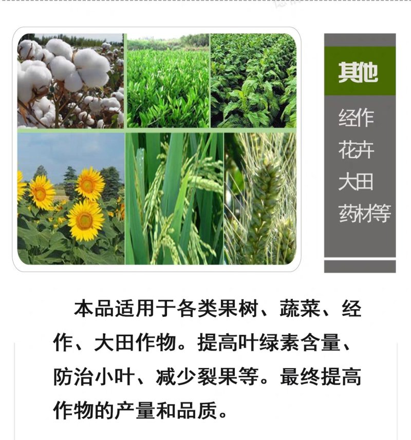 硼锌钾钙镁营养全面促花增果膨果靓果提高品质