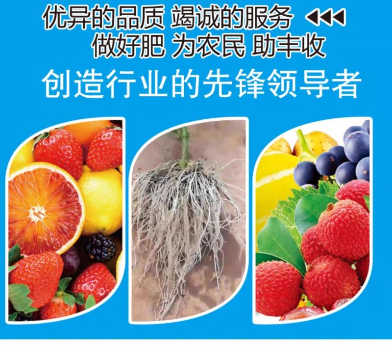 硼锌钾钙镁营养全面促花增果膨果靓果提高品质