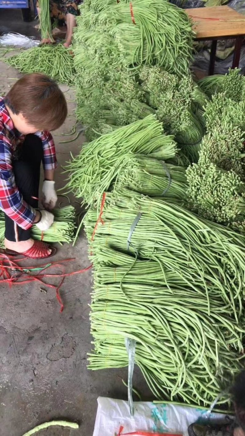 湖北长豆角，豇豆角，四季豆电商-蒙特卡罗世界赌城官方网站食堂多多买菜供应链