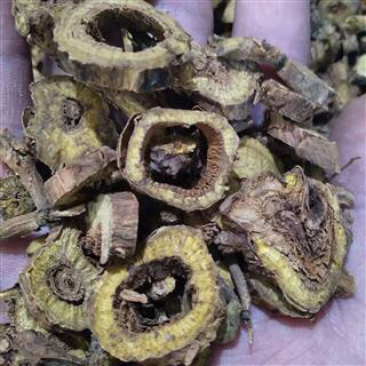 昌玉药材黄芩产地直销质量保证