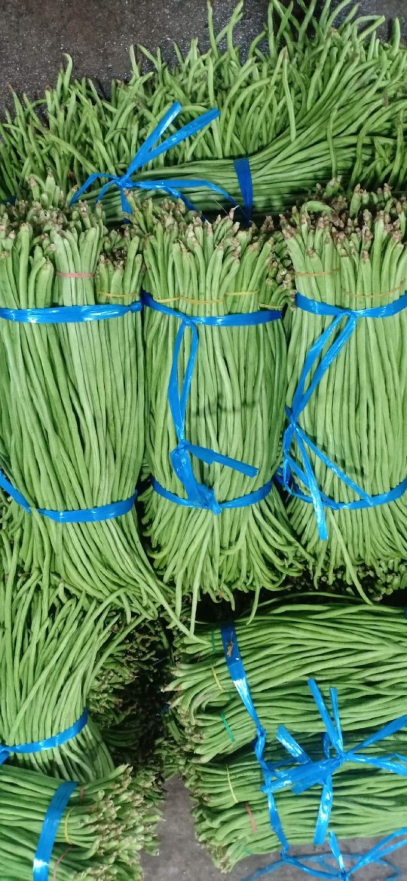 云南豇豆豆角干豆角段干豆角干货