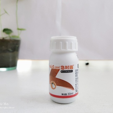 5%啶虫脒白粉虱杀虫剂