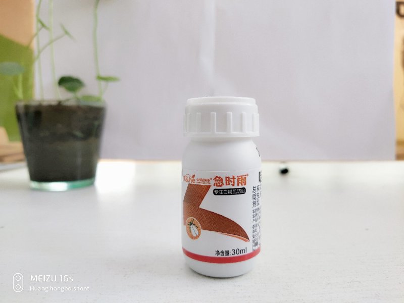 5%啶虫脒白粉虱杀虫剂