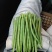 豆角大量现货