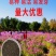 四季开花易活花种籽子花草花卉格桑花七彩波斯菊花种子野花组