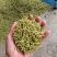 金银花。两证一签,死苗补发,提供技术指导苗圃直发