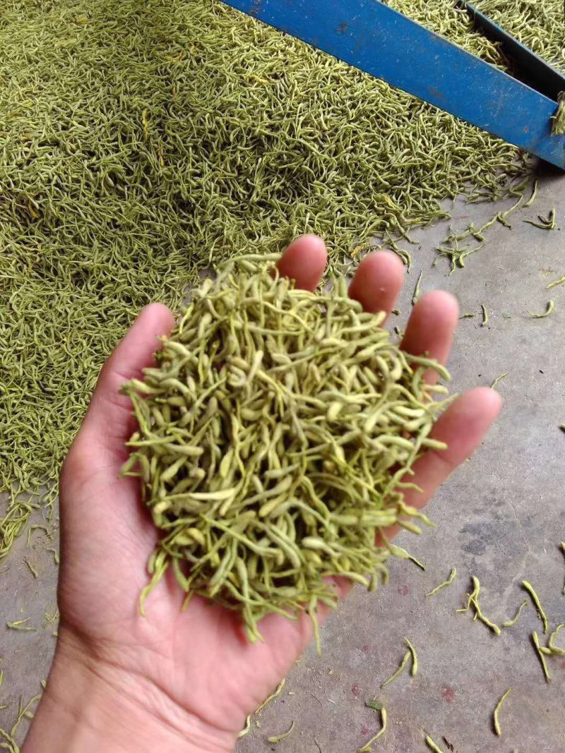 金银花。两证一签，死苗补发，提供技术指导苗圃直发
