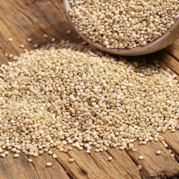 21年新藜麦一级灰黎麦米颗粒饱满，口感好量大从优8斤起