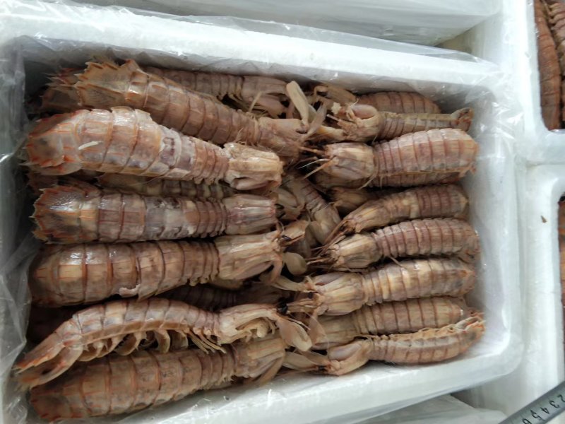 皮皮虾爬虾琵琶虾虾虎熟冻品质高自家渔船渤海特产电商团购货