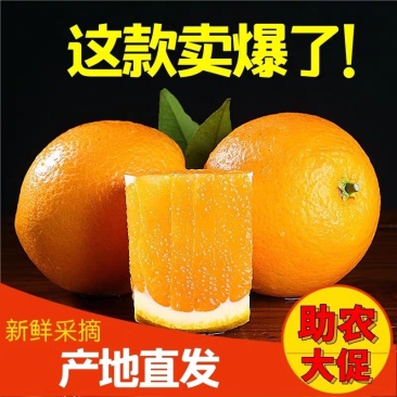脐橙长虹脐橙，秭归脐橙口感甜，果面干净鲜地头收购一手货