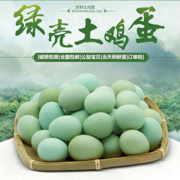 优质精品绿壳土鸡蛋等