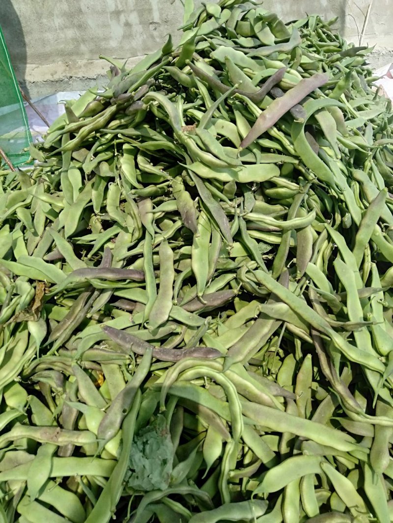 油豆角