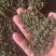 十里飘香汉源干青花椒一袋100斤库房大量现货，长线产