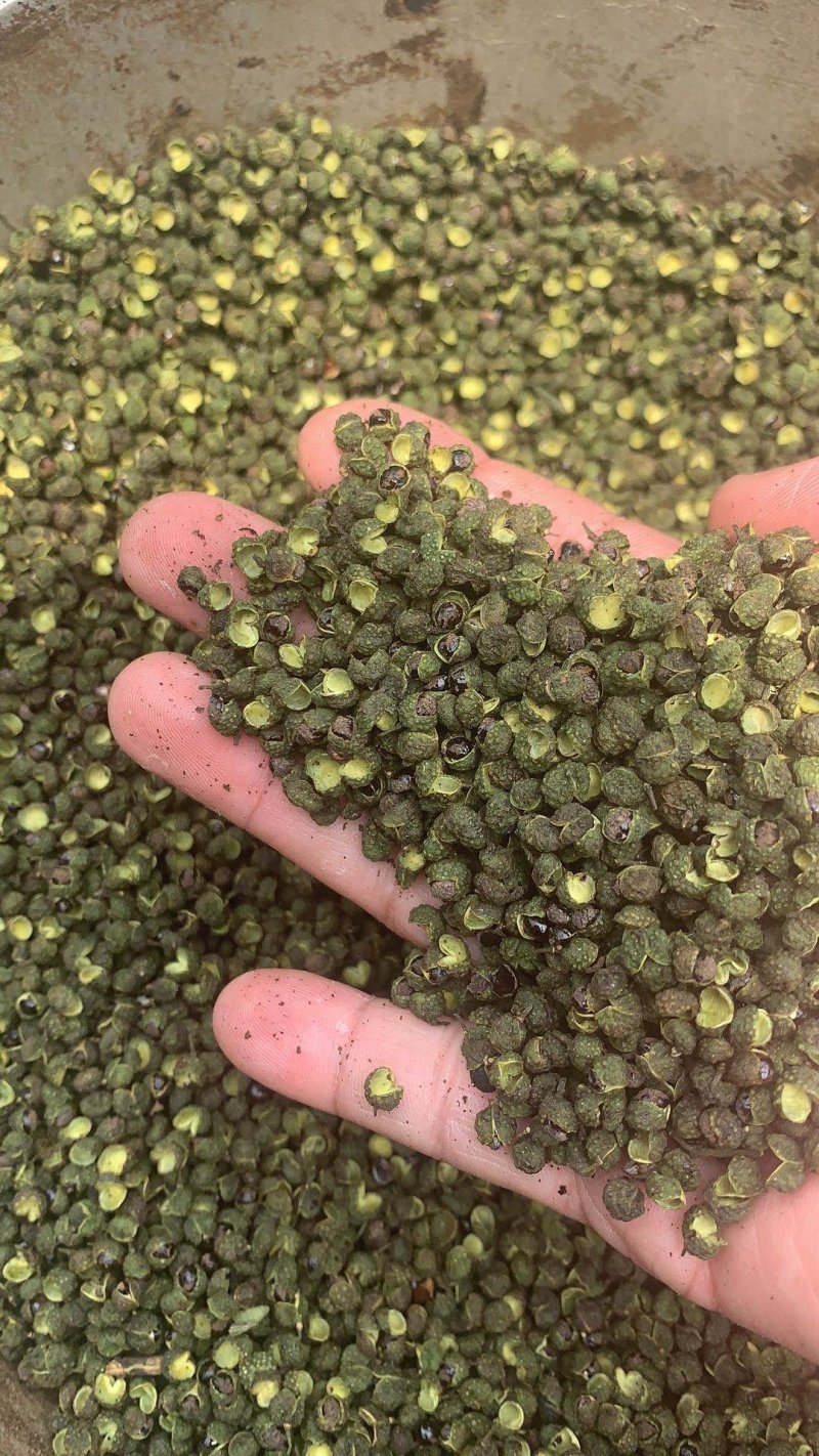 十里飘香汉源干青花椒一袋100斤库房大量现货，长线产