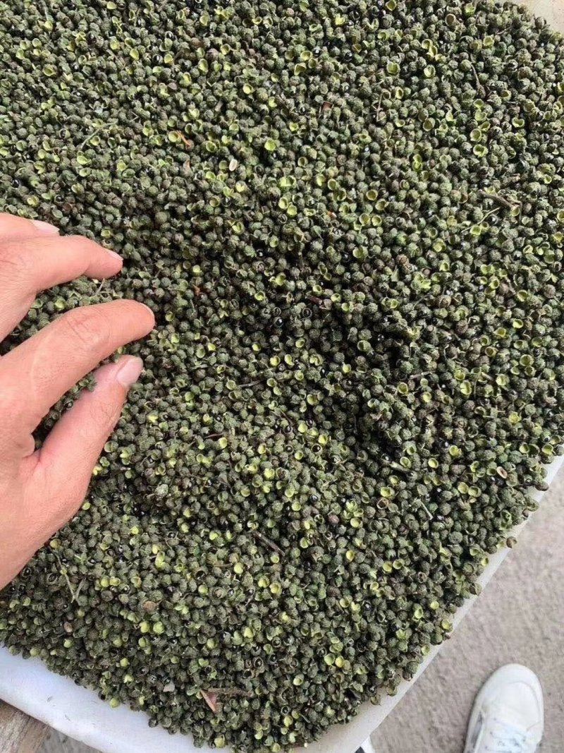 十里飘香汉源干青花椒一袋100斤库房大量现货，长线产