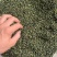 汉源青花椒地摊热卖火爆产品，江湖地摊暴利产品，火热畅销