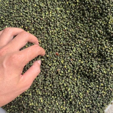 汉源青花椒地摊热卖火爆产品，江湖地摊暴利产品，火热畅销