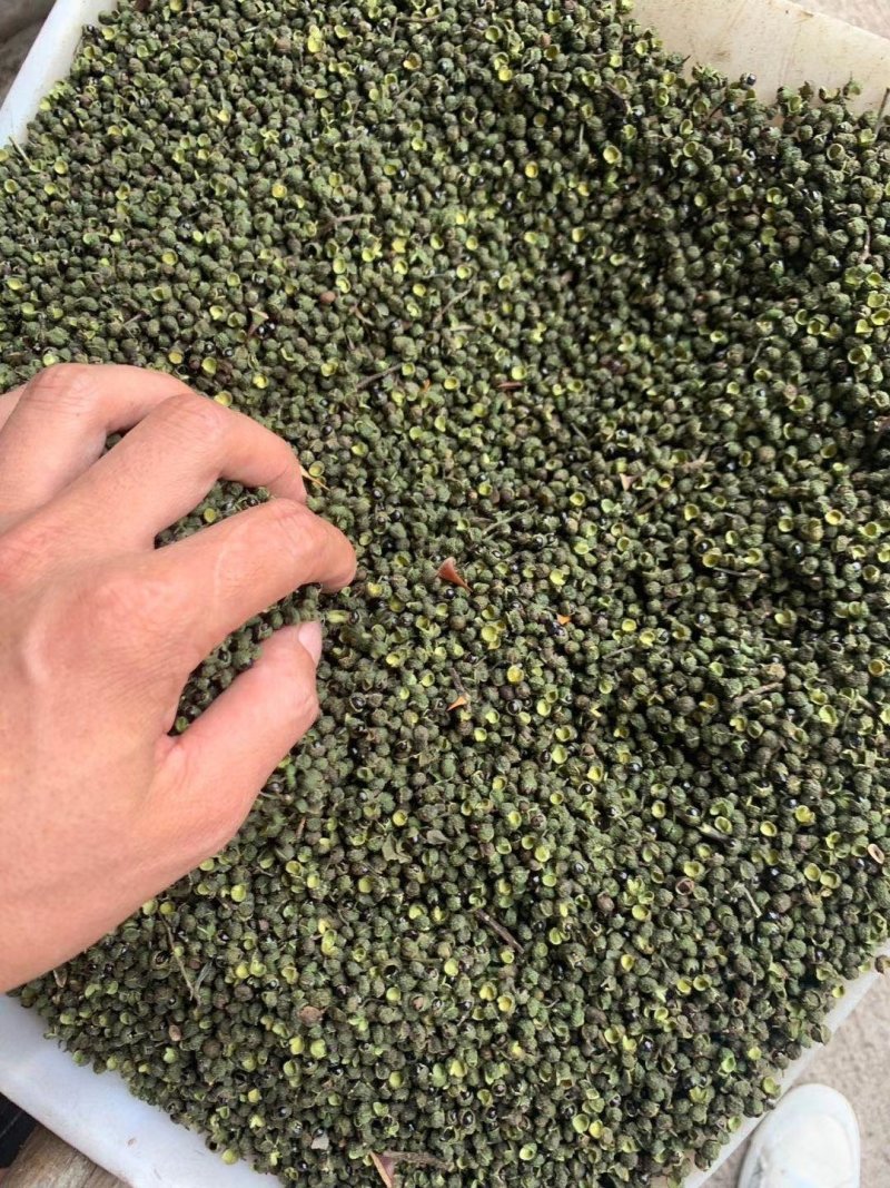 汉源青花椒地摊热卖火爆产品，江湖地摊暴利产品，火热畅销