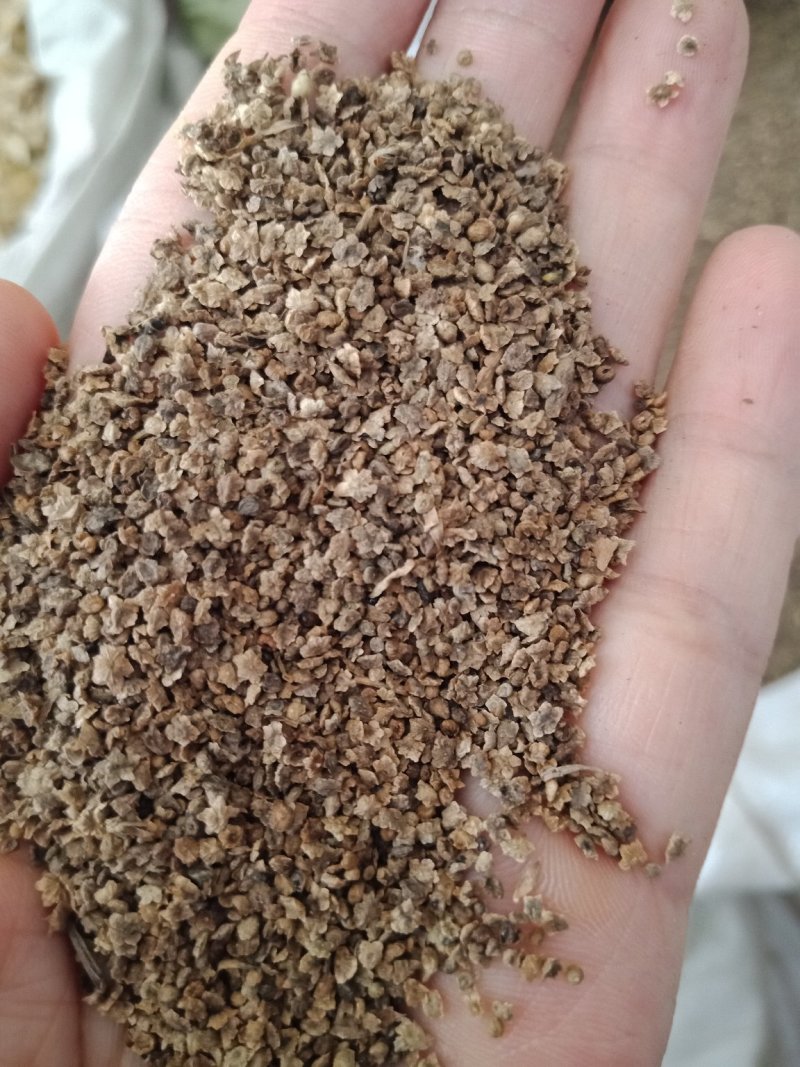地肤子批发零售各种规格中药材地肤子中药材