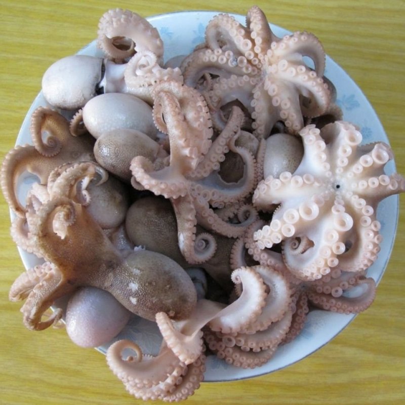 三去盐柔八爪鱼盐磨八爪鱼捞汁火锅大小规格都有