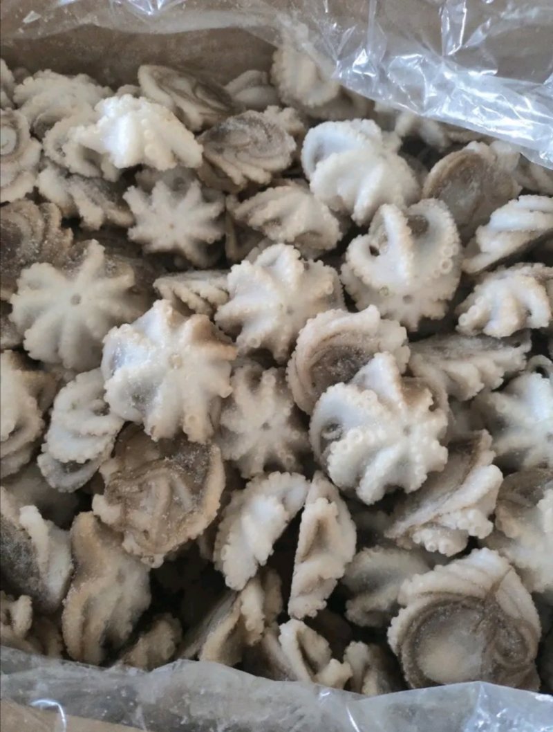 三去盐柔八爪鱼盐磨八爪鱼捞汁火锅大小规格都有