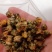 胎菊，常年批发供各种规格应药食同源胎菊，量大从优