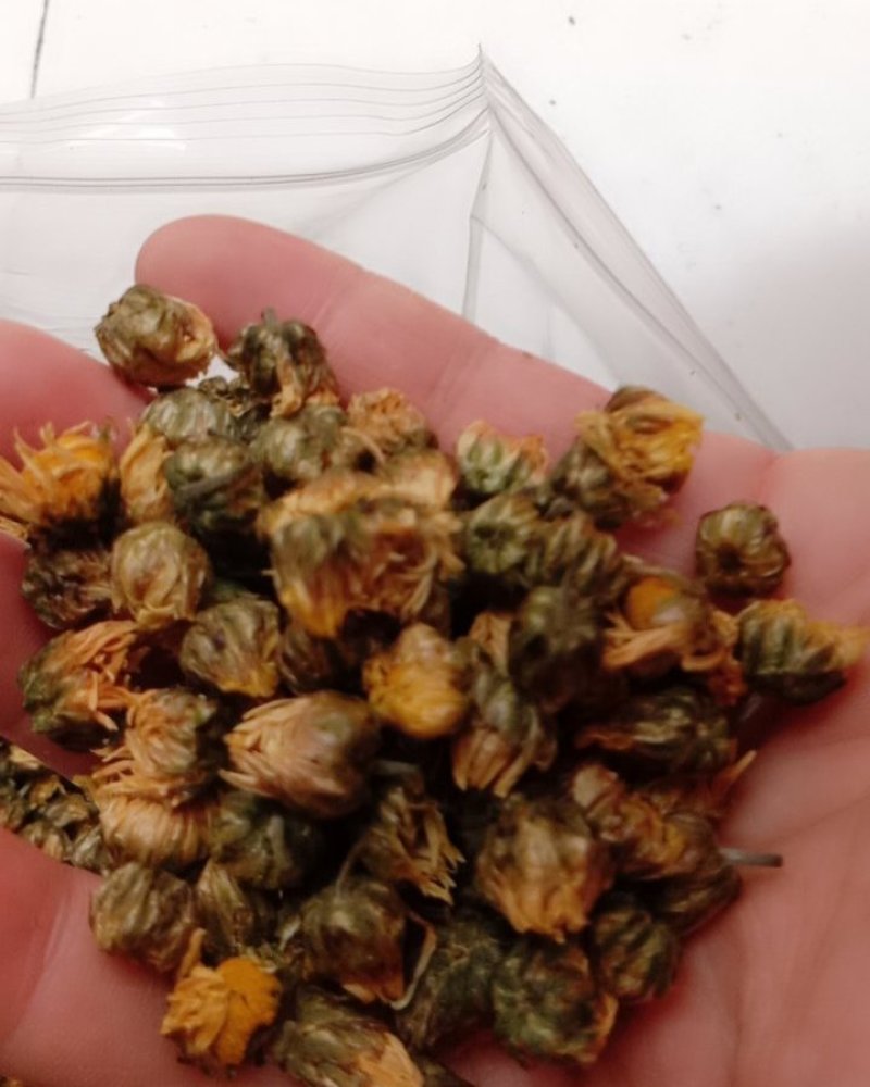 胎菊，常年批发供各种规格应药食同源胎菊，量大从优