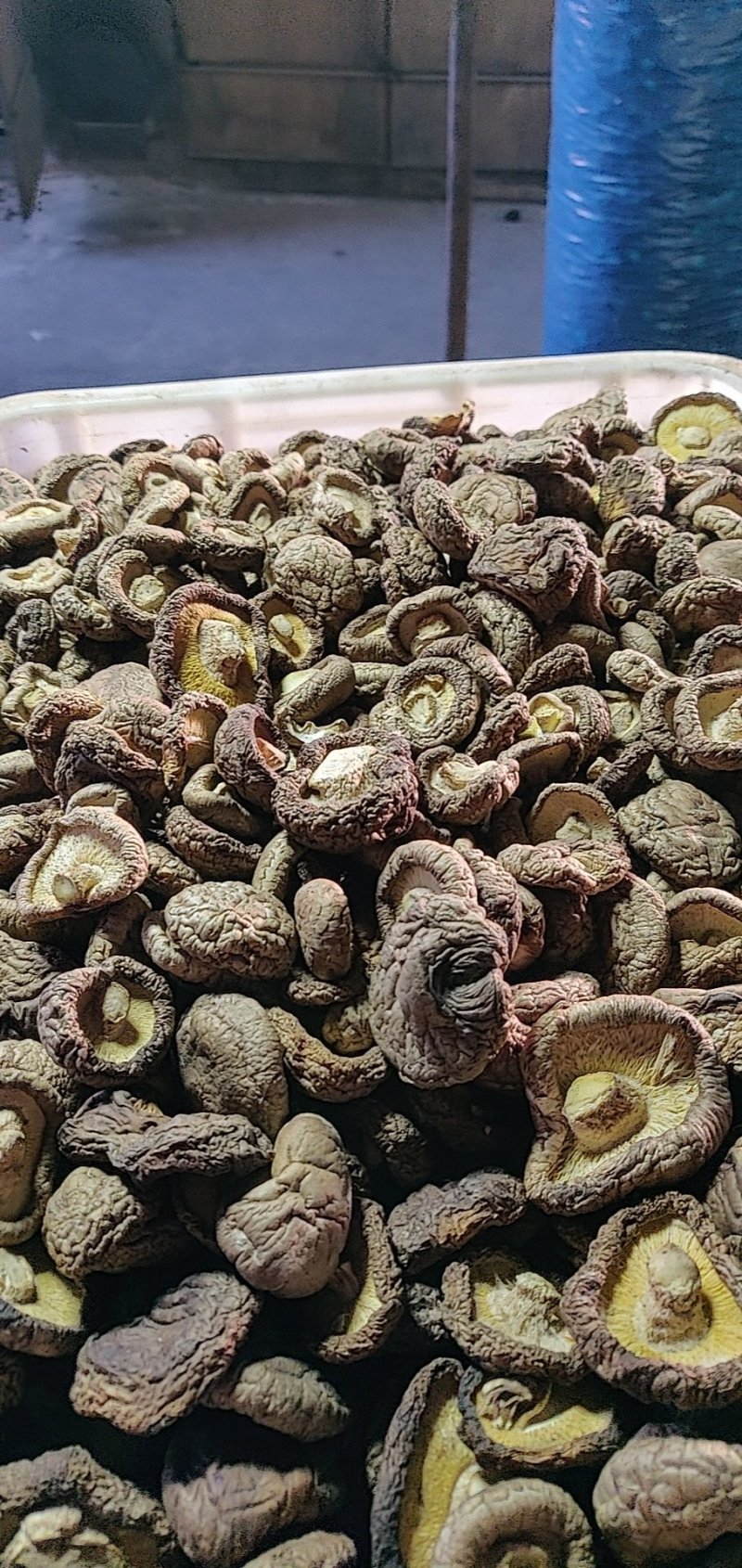 干香菇香菇脚产地直销