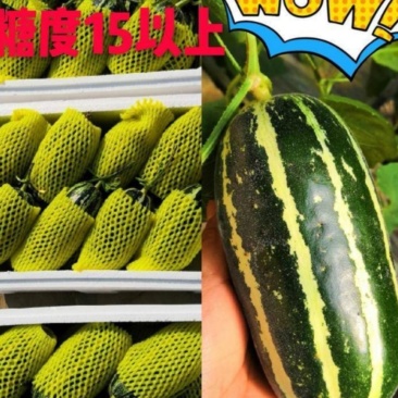 寿光博洋9博洋91大量供应大量现货供应质量保证