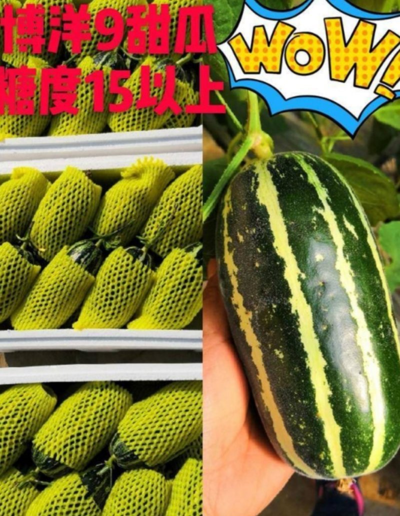 寿光博洋9博洋91大量供应大量现货供应质量保证