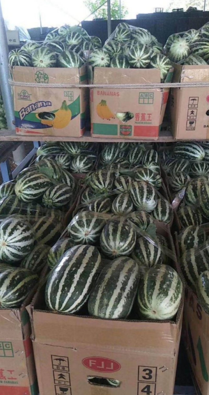 寿光博洋9博洋91大量供应大量现货供应质量保证