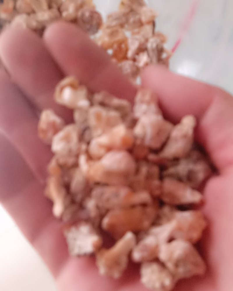 薤白，常年批发供应薤白各种规格，量大从优中药材