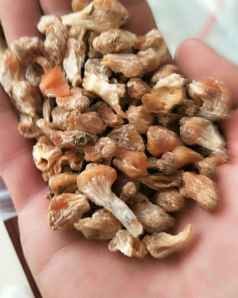 薤白，常年批发供应薤白，江苏货，中药材