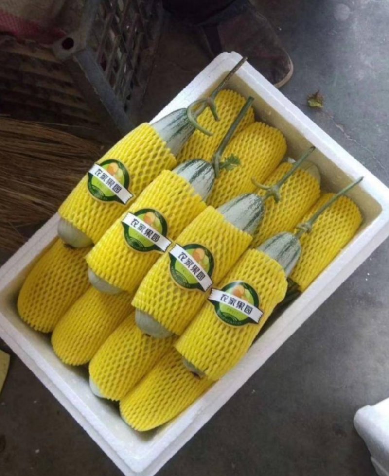 山东博洋61羊角蜜博洋91博洋61博洋9盘古蜜代收