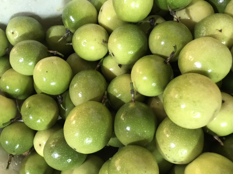 芭乐味黄金百香果，很甜的百香果，中果7-8-9个