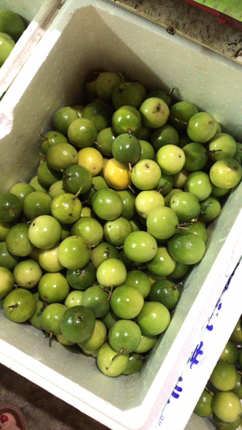芭乐味黄金百香果，很甜的百香果，中果7-8-9个