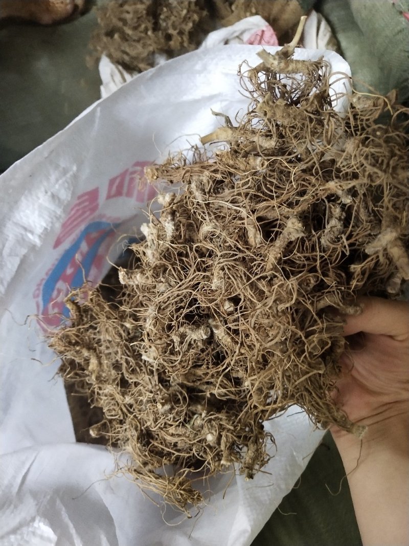 地胆头干货新货地胆头地胆头无硫磺
