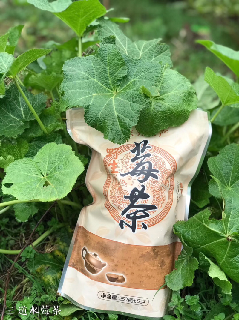 张家界自家莓茶直销