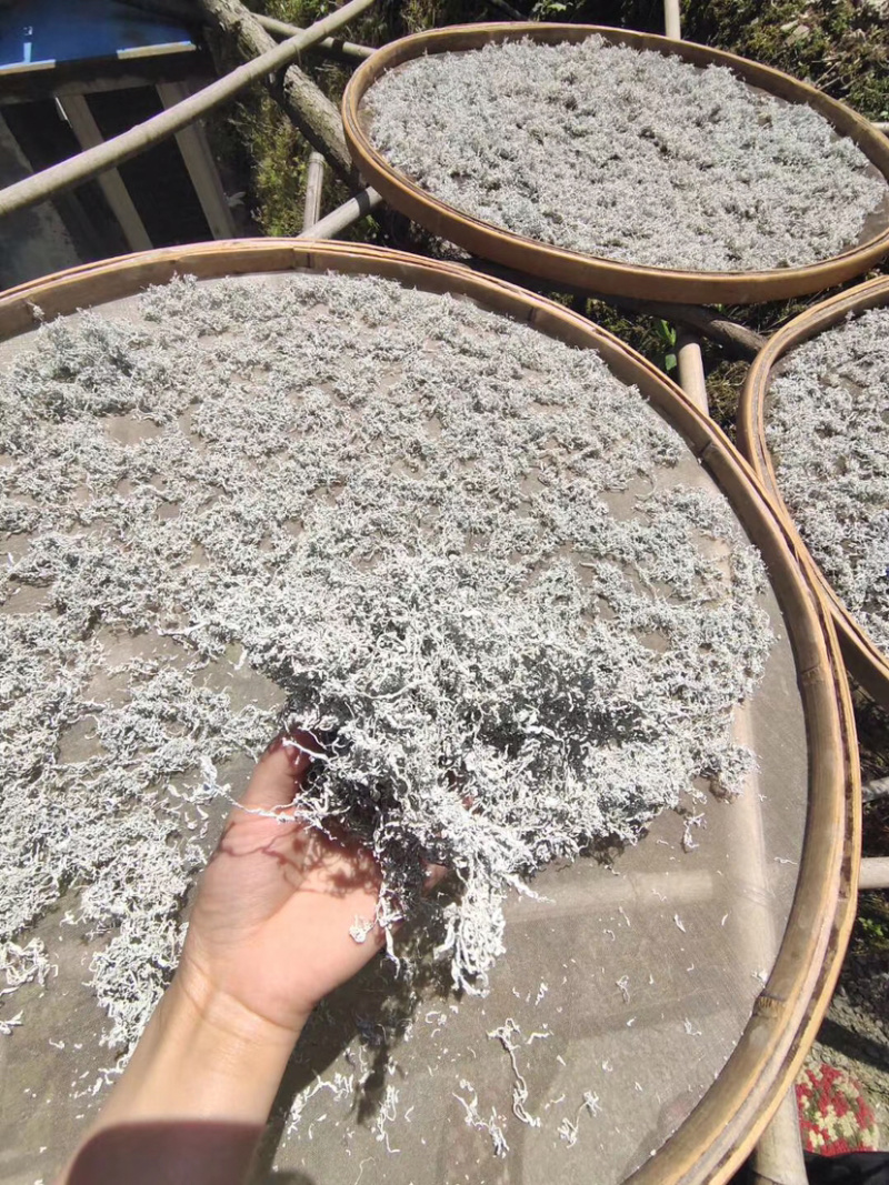 张家界自家莓茶直销